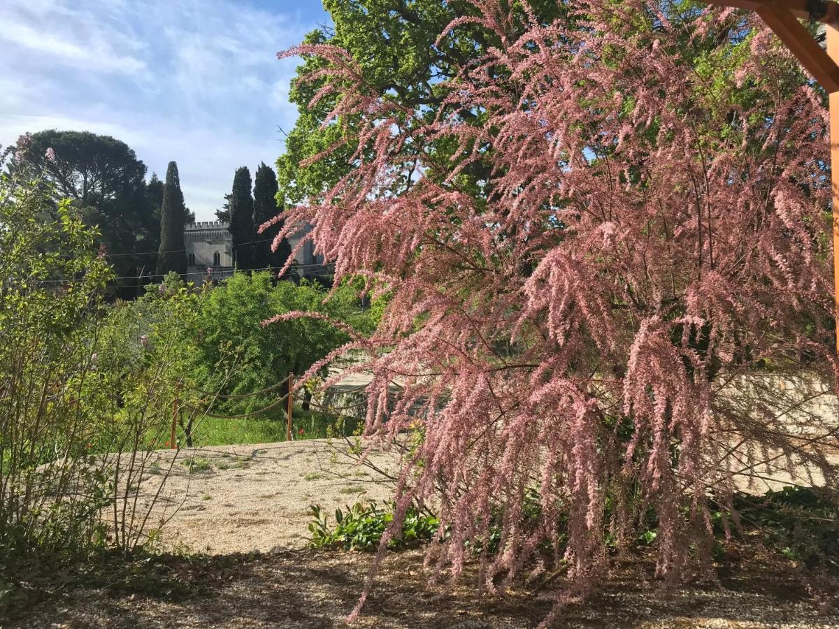 Villa Deco מונופולי מראה חיצוני תמונה